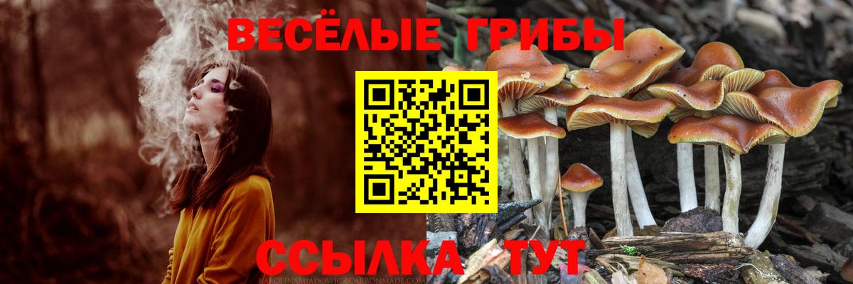 Галлюциногенные грибы мухоморы  Вход с VPN  Сокол 